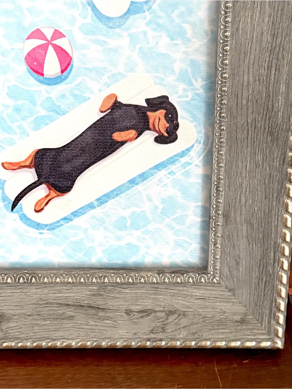 Dachshund Weiner Dogs on Pool Floats Summer Canvas Wall Art Print Gray Framed